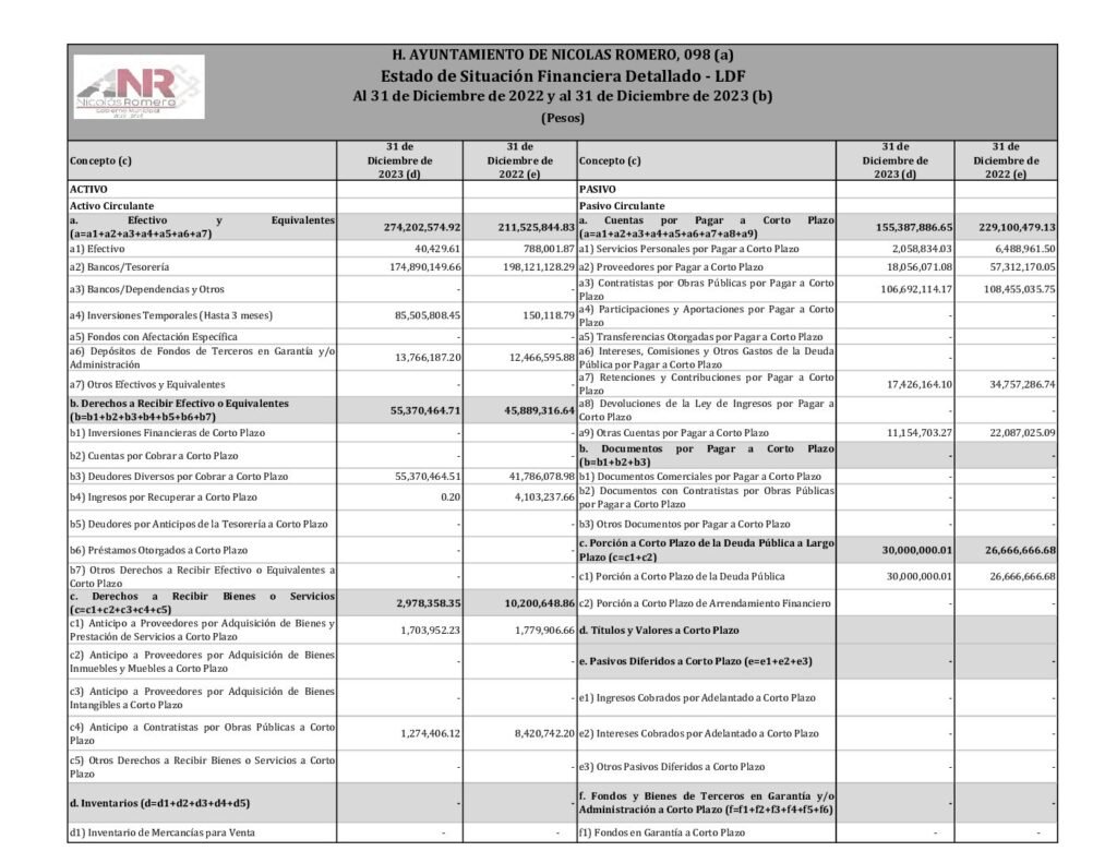 thumbnail of 9. Estado de Situación Financiera Detallado-LDF