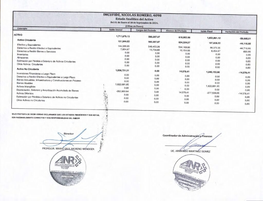 thumbnail of Estado Analitíco del Activo