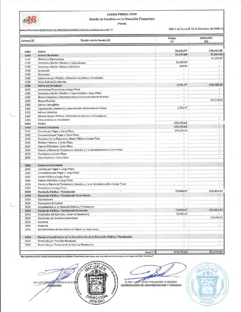 thumbnail of Estado de Cambios en la Situación Financiera