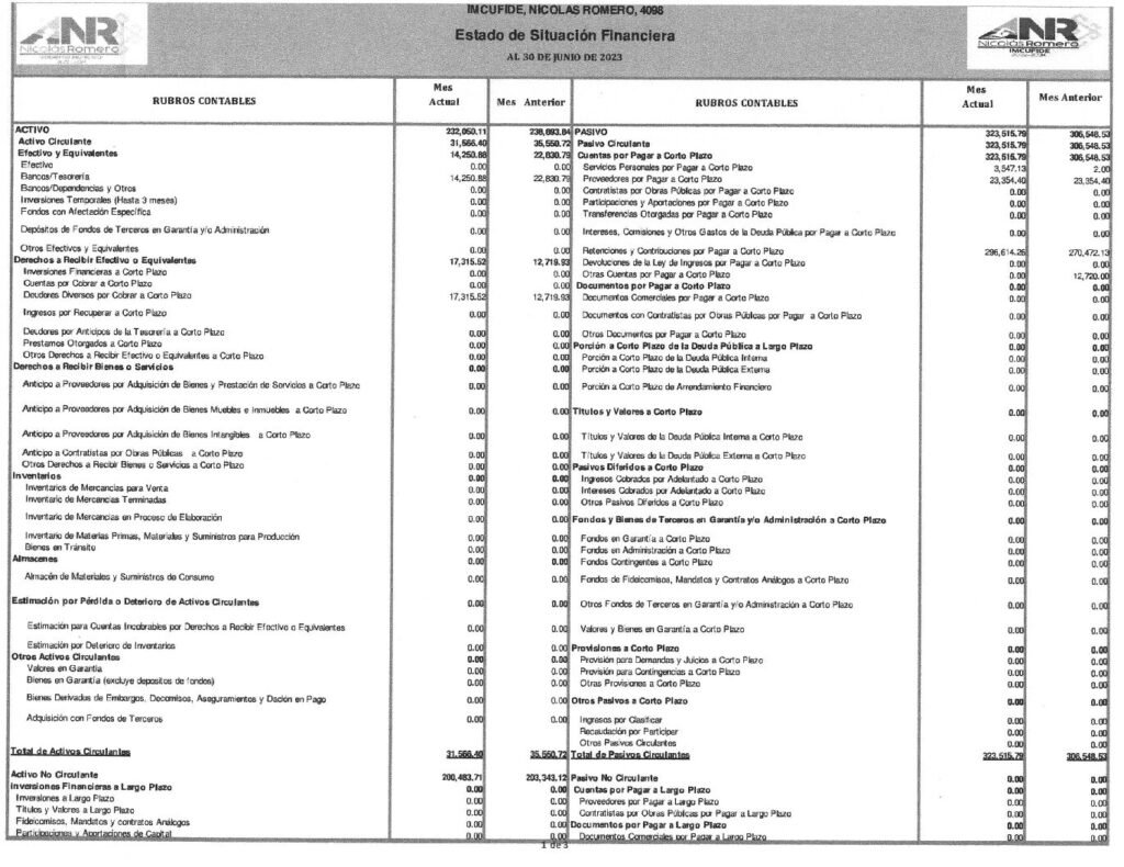 thumbnail of Estado de Situación Financiera