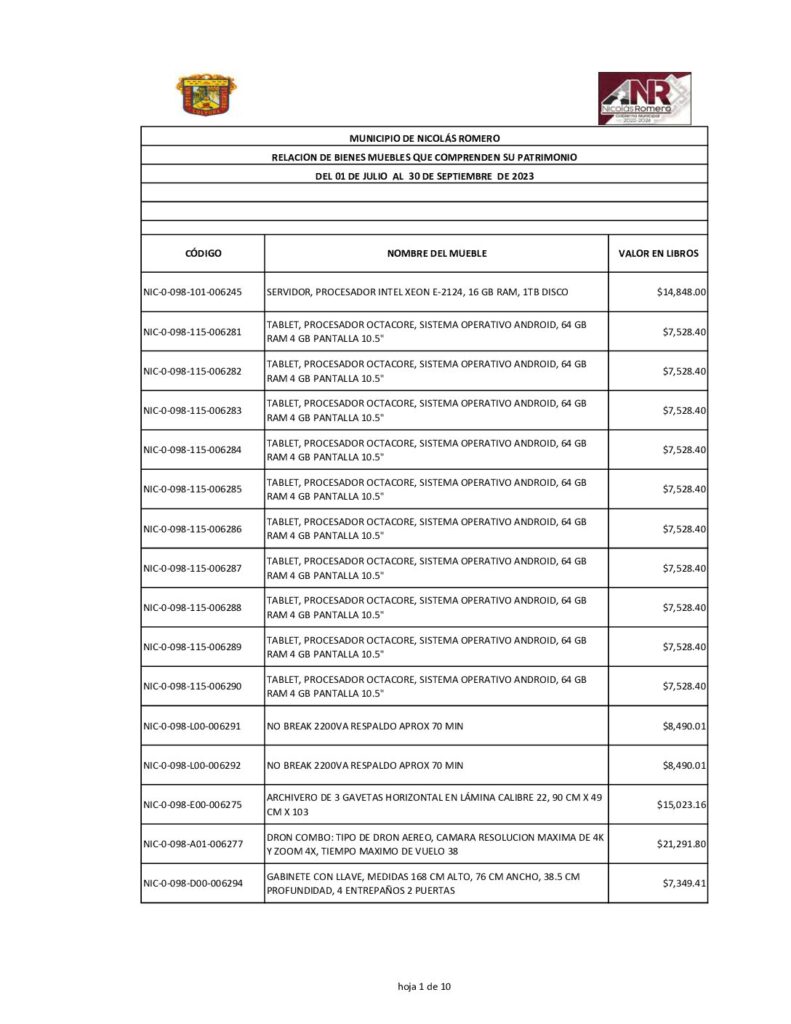 thumbnail of Norma del Formato de la Relación de Bienes que componen el Patrimonio