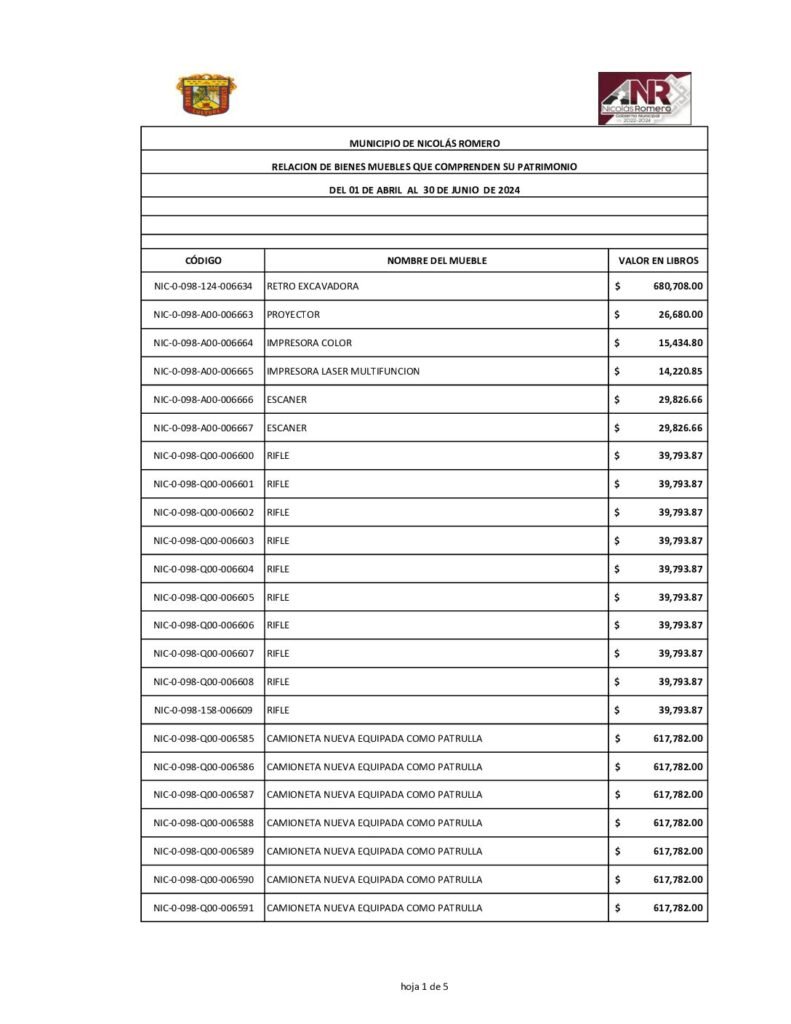 thumbnail of Norma del Formato de la Relación de Bienes que componen el Patrimonio