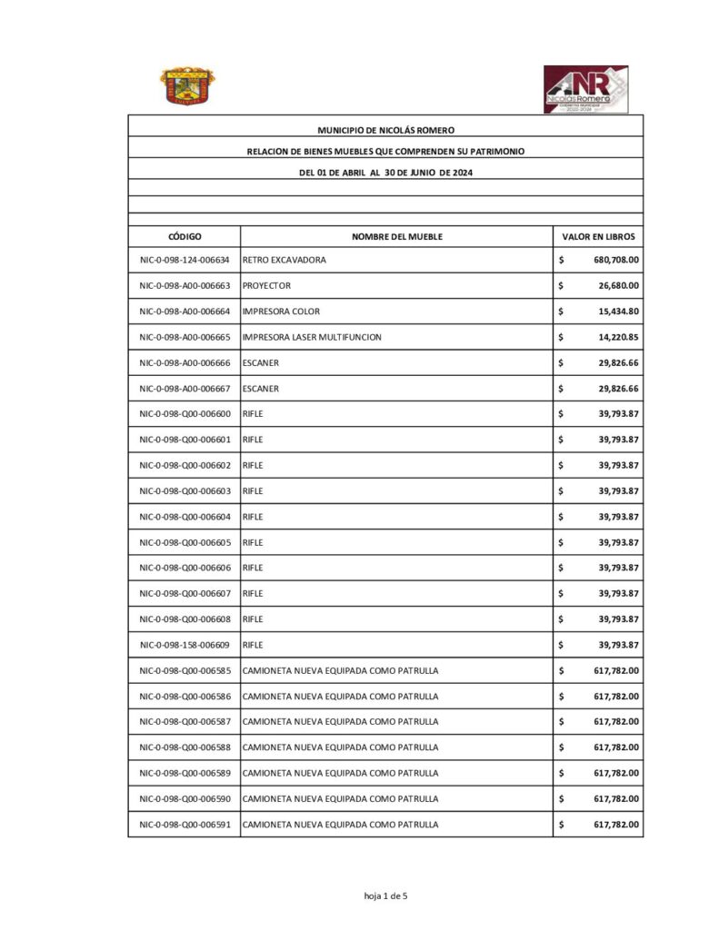 thumbnail of Norma del Formato de la Relación de Bienes que componen el Patrimonio
