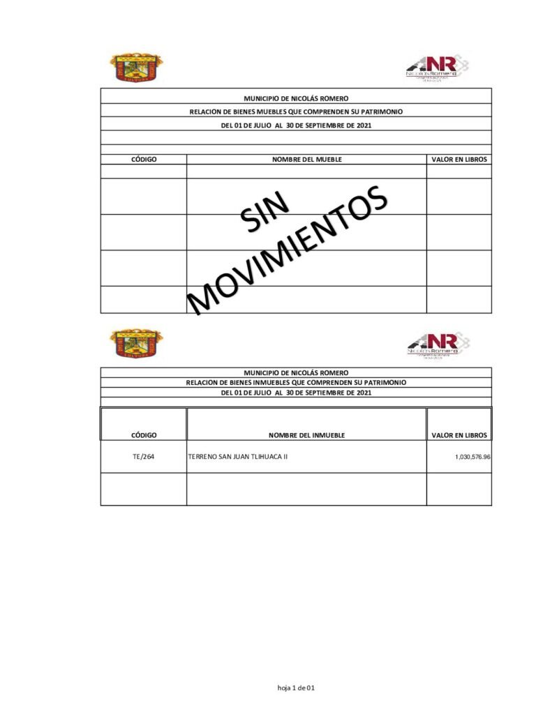 thumbnail of Norma del Formato de la Relación de Bienes que componen el Patrimonio