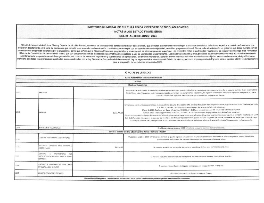 thumbnail of Notas a los Estados Financieros