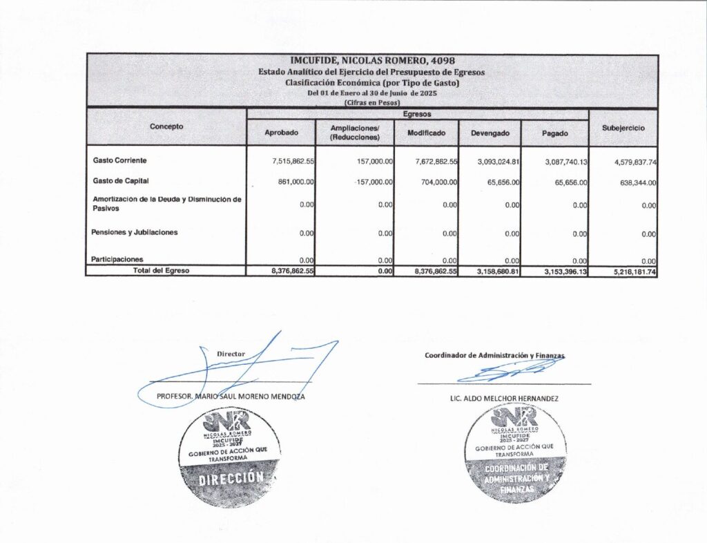 thumbnail of ESTADO ANALITICO DEL EJERCICIO DEL PRESUPUESTO DE EGRESOS ECONOMICA
