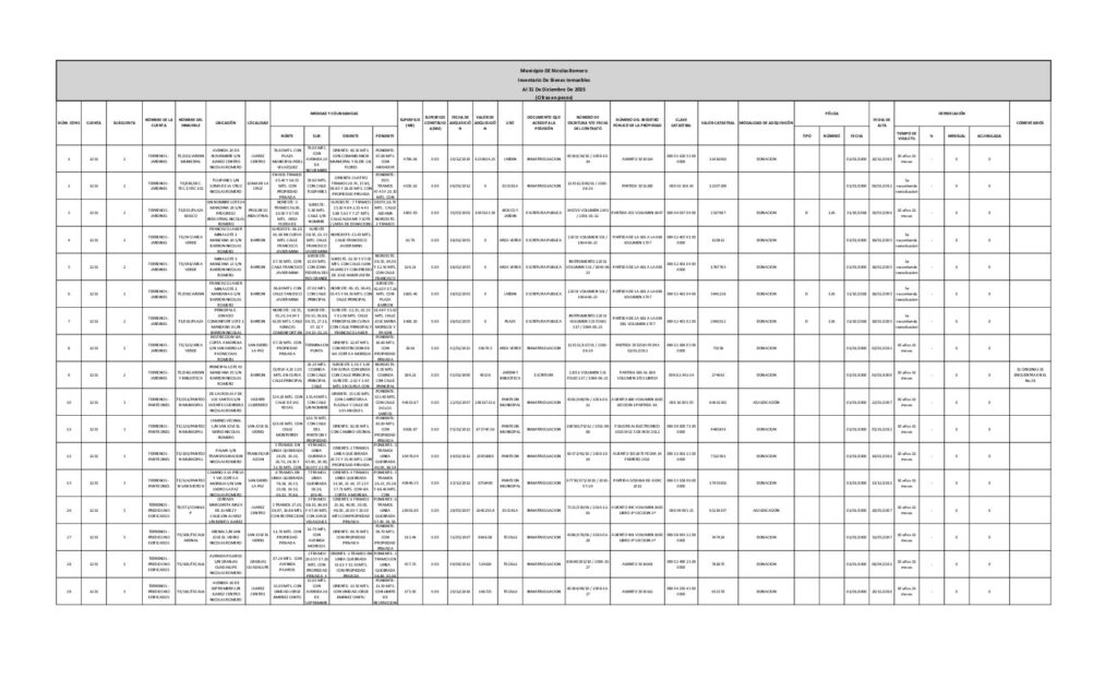 thumbnail of IBI00982025