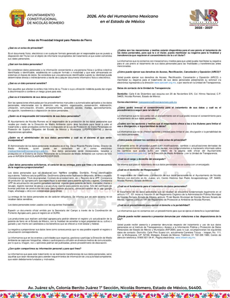 thumbnail of Patente de Fierro