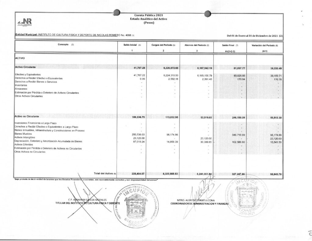 thumbnail of ESTADO ANALITICO DEL ACTIVO