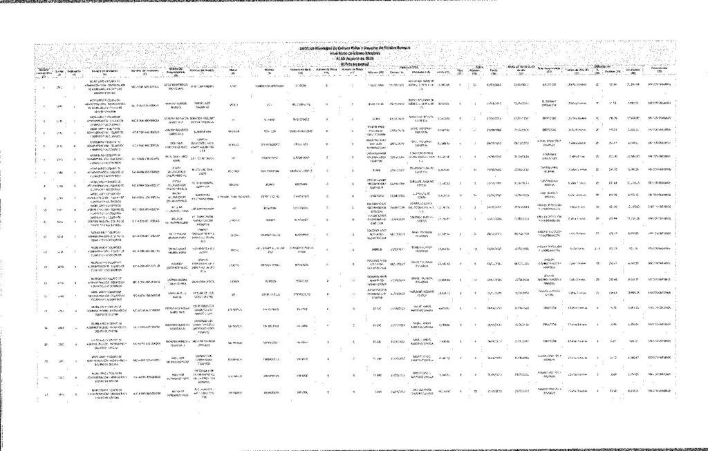 thumbnail of INVENTARIO DE BIENES MUEBLES